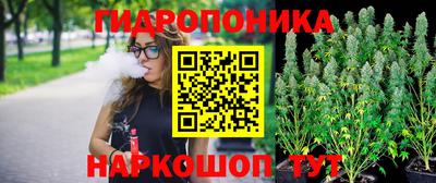 ешки Краснодар