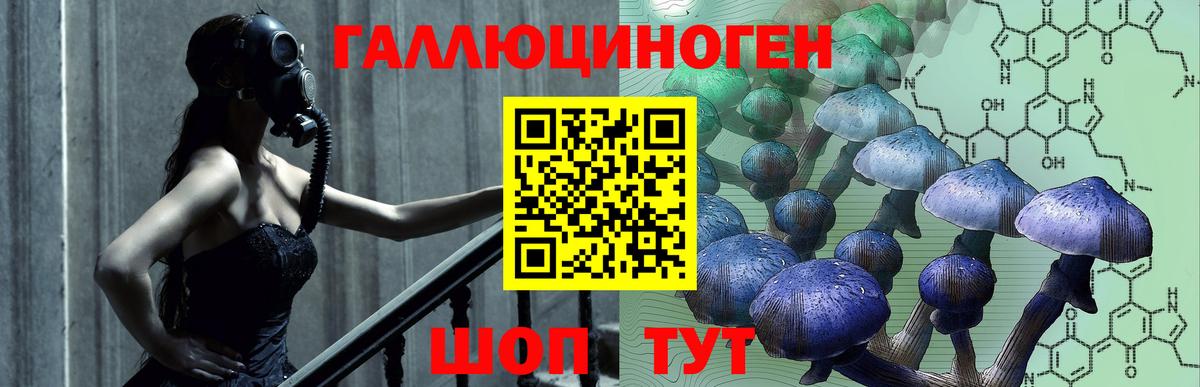 Псилоцибиновые грибы MAGIC MUSHROOMS  Вход с VPN  Когалым 